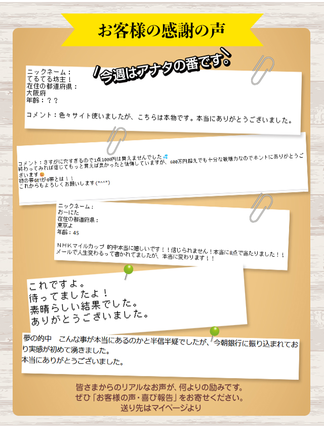 大川慶次郎～パーフェクト馬券メソッド～【大川智絵監修】
